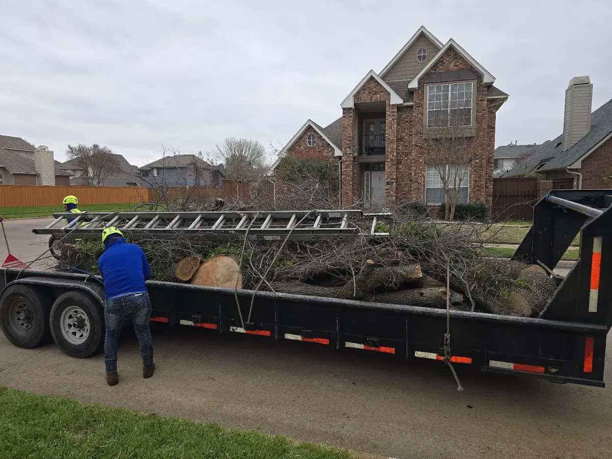Expert Tree Fertilization with proper safety equipment in Cicero